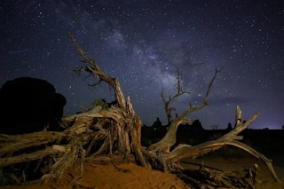 画質の比較｜基本は同等、差が出るのは読み出しと運用