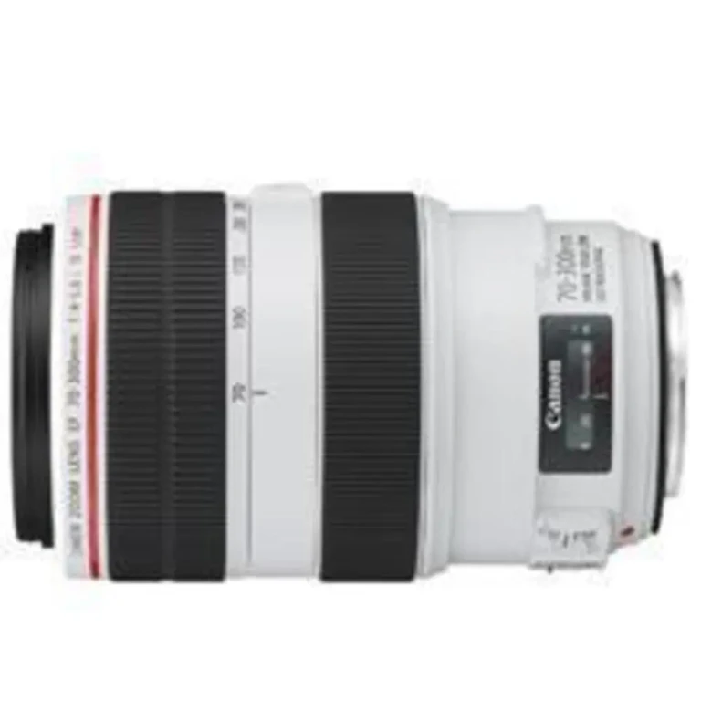 EF 70-300mm F4-5.6L IS USMの新品/中古の在庫一覧 2枚目