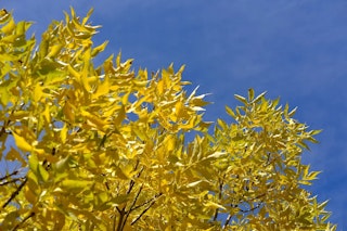 静止画の撮りやすさ比較