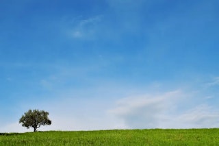 シーン別の活かし方：風景／人物・物撮りでの最適解