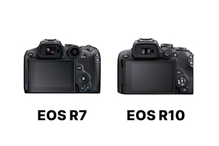EVFと背面モニター：見やすさを重視するならEOS R7