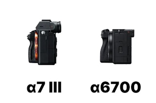 センサーサイズと静止画画質の比較|フルサイズの余裕 vs 新世代APS-C