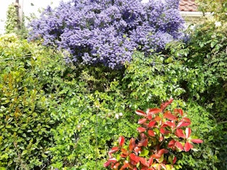 RICOH PENTAX WG-1000の画質評価（静止画）