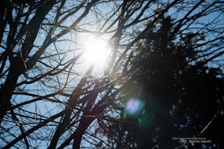 Canon EF-M55-200mm F4.5-6.3 IS STMの画質レビュー
