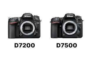 Nikon D7200とD7500はどちらを選ぶべきか|結論と選び分けの軸を整理