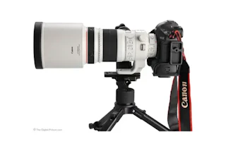 【2026年版】Canon EF 300mm F2.8L IS II USMのレビュー比較まとめ スポーツ・野鳥に最適