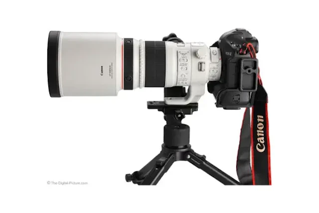 【2026年版】Canon EF 300mm F2.8L IS II USMのレビュー比較まとめ スポーツ・野鳥に最適