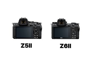 連写・バッファの比較：RAW派のZ6II、決定的瞬間のZ5IIという見方もできる