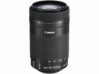 Canon EF-S 55-250mm F4-5.6 IS STM:運動会で使いやすい軽量望遠ズーム