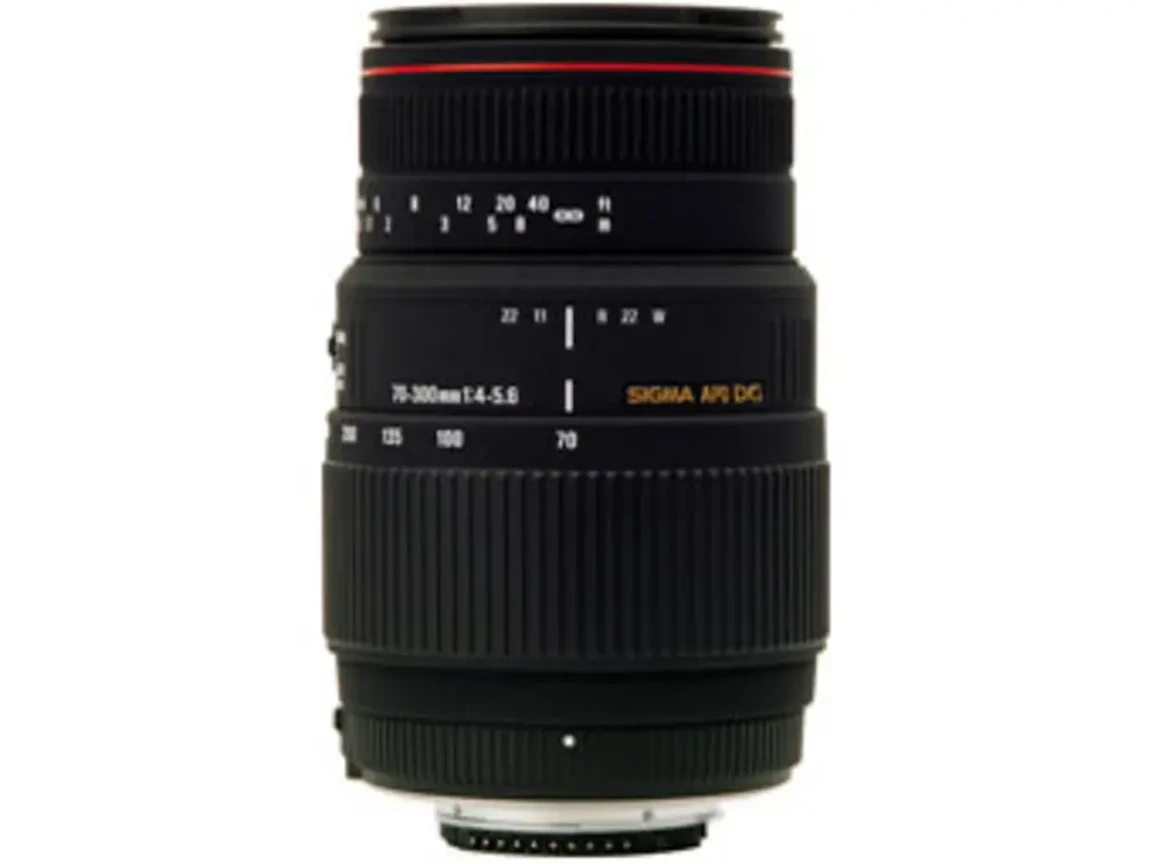 APO 70-300mm F4-5.6 DG MACRO