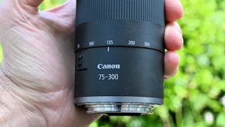 Canon RF75-300mm F4-5.6のデザインと操作性のレビュー