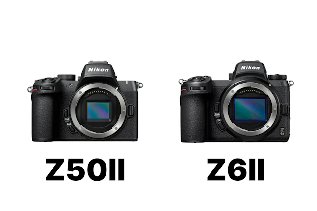 Nikon Z50IIとNikon Z 6IIを徹底比較！画質・AF・動画・手ブレ補正の違いを解説