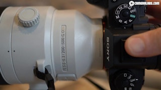 FE 200-600mm F5.6-6.3 G OSS SEL200600GのAF性能(動体・追従)のレビュー