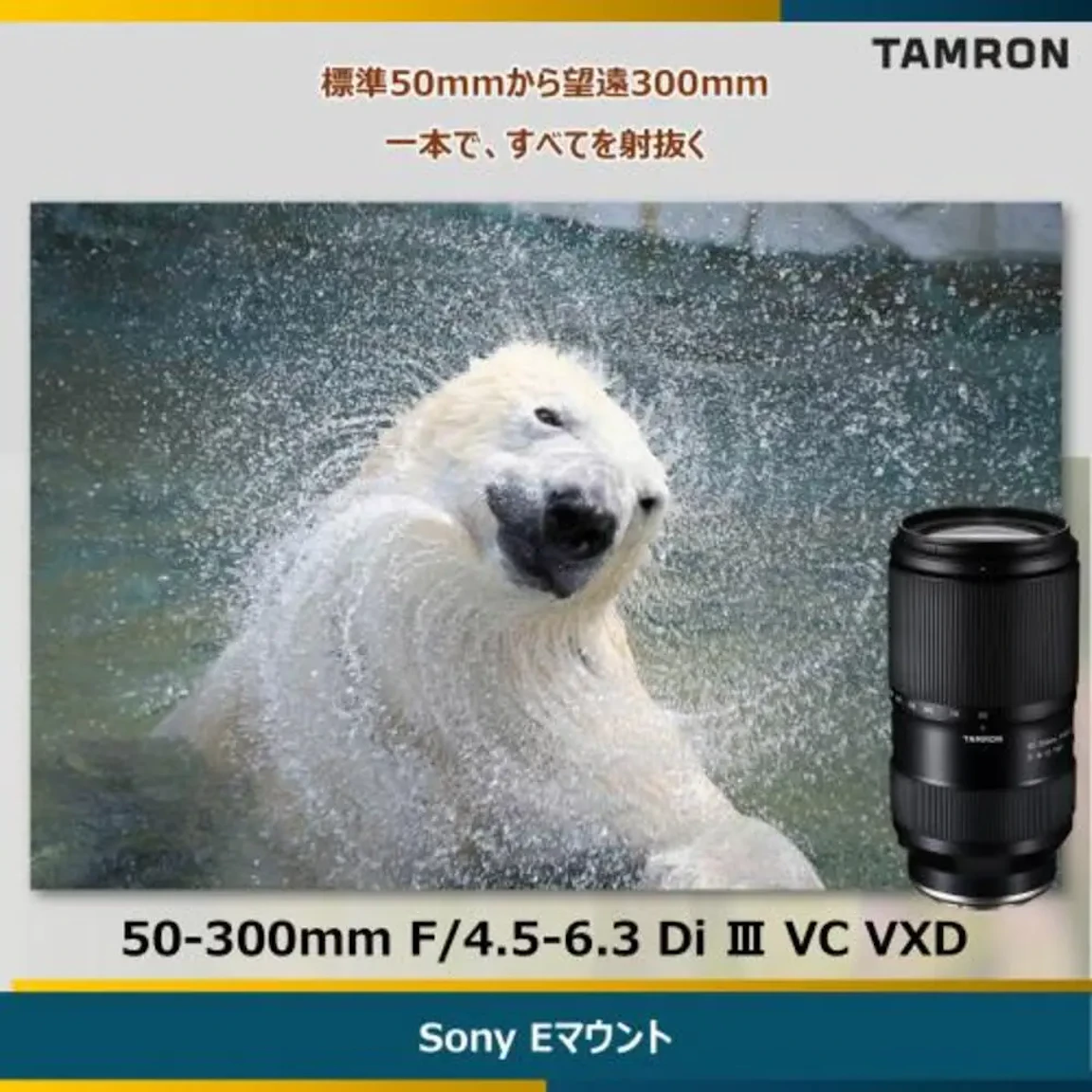 50-300mm F/4.5-6.3 Di III VC VXDの新品/中古の在庫一覧 2枚目