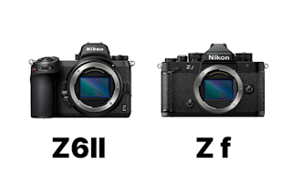 Nikon Z 6IIとZ fを比較まとめ 画質・AF・動画・操作性の違いと選び方