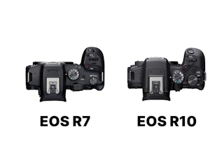 サイズ・重量・グリップ：携帯性はEOS R10、望遠レンズとの組み合わせはEOS R7