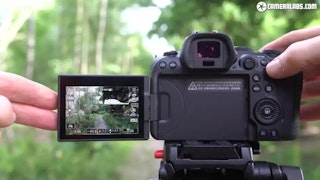 Canon EOS R6の画質評価（センサー・階調・色）