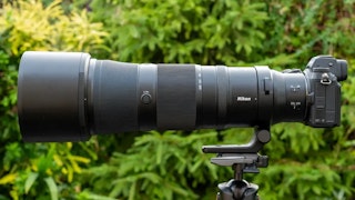 【2026年版】NIKKOR Z 180-600mm f/5.6-6.3 VRのレビュー比較まとめ。野鳥撮影・スポーツに最適