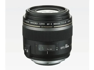 Canon EF-S60mm F2.8 マクロ USM|距離を取りながら撮れる中望遠マクロ