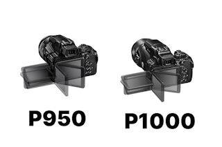 Nikon COOLPIX P950とCOOLPIX P1000の動画を比較|4K30pは両機に対応