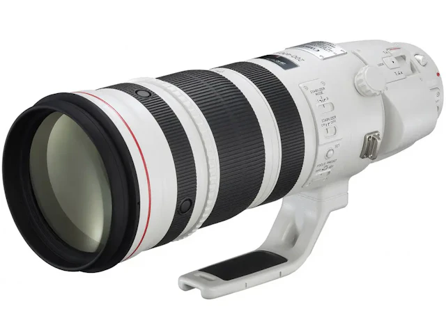 EF 200-400mm F4L IS USM エクステンダー 1.4×