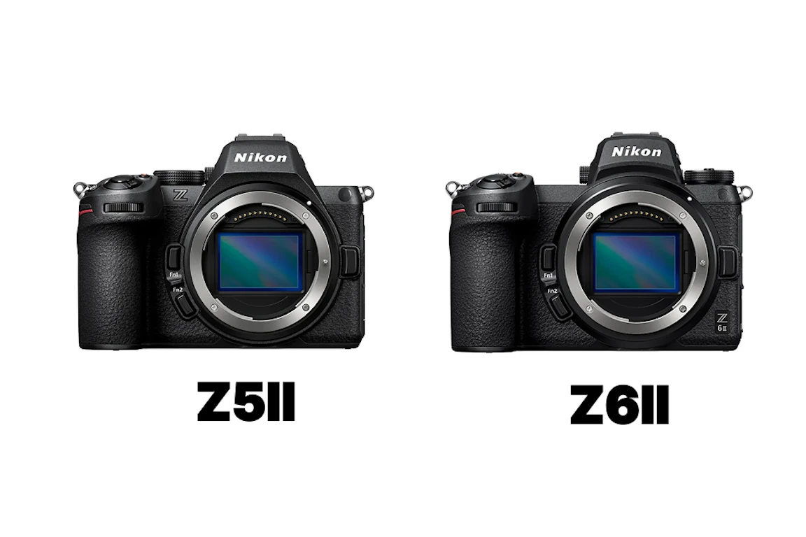 Nikon Z6IIとZ5IIを徹底比較！AF・動画・連写・手ブレ補正の違いと選び方
