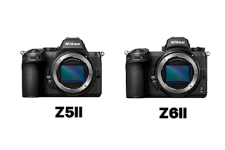 Nikon Z6IIとZ5IIを徹底比較！AF・動画・連写・手ブレ補正の違いと選び方