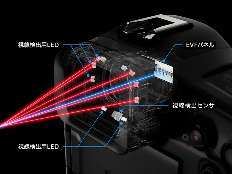 EOS R1 ボディの新品/中古の在庫一覧 9枚目