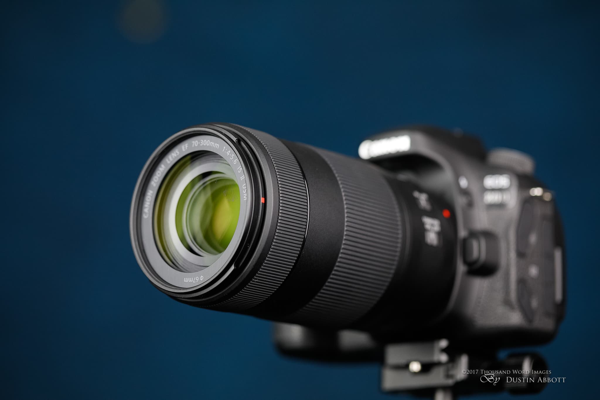 Canon EF 70-300mm F4-5.6 IS II USMのレビュー比較まとめ。軽量望遠で 