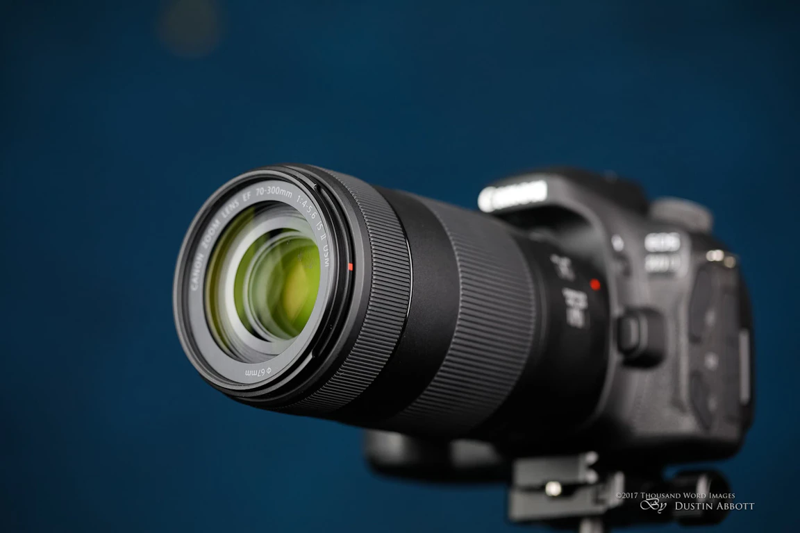 Canon EF 70-300mm F4-5.6 IS II USMのレビュー比較まとめ。軽量望遠で野鳥・運動会に最適