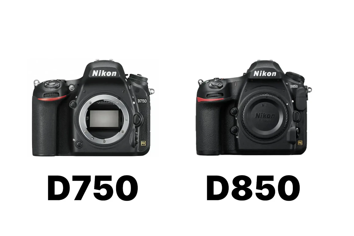 Nikon D750とD850を徹底比較！高画素・トリミング・連写性能の違い