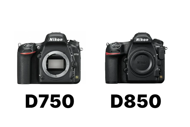 Nikon D750とD850を徹底比較！高画素・トリミング・連写性能の違い