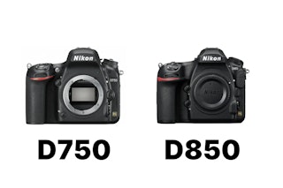 D750とD850はどちらを選ぶべきか