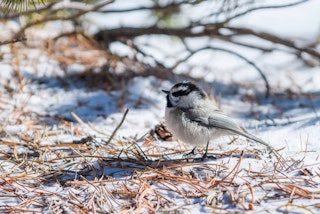 動画機能の比較：D7000のフルHDと、D7500の4Kは何が変わる？