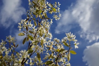 GR III(GR3)のレンズ描写（28mm f2.8）のレビュー