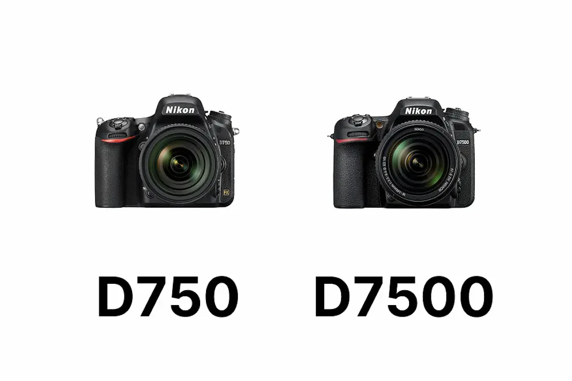 Nikon D750とD7500の違いを比較 画質・連写・動画・使い勝手で選ぶ【2026年版】