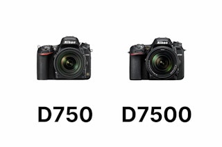 Nikon D750とD7500の違いを比較 画質・連写・動画・使い勝手で選ぶ【2026年版】