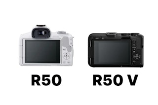 EVFと内蔵ストロボ:屋外や室内で使いやすいのはEOS R50