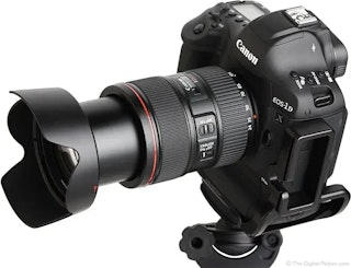 Canon EF 24-105mm F4L IS II USMの動画適性レビュー（駆動音・滑らかさ・フォーカスブリージング）