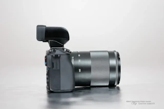 Canon EF-M55-200mm F4.5-6.3 IS STMをレビュー・比較｜軽さ・画質・おすすめの撮影シーンを解説