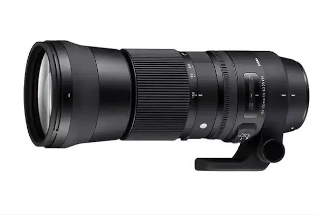 【2026年版】Sigma 150-600mm F5-6.3 DG OS HSM Contemporaryのレビュー比較まとめ 野鳥・航空機の超望遠入門に最適