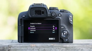 Canon EOS R10とEOS R50の主要スペック比較|シャッター方式・連写・動画・サイズに注目