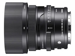 35mm F2 DG DN ライカL用