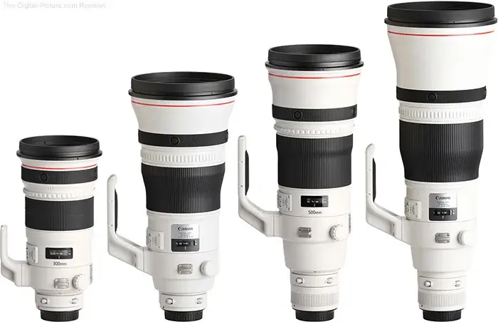 2026年版】EF 600mm F4L IS III USMのレビュー比較まとめ。野鳥