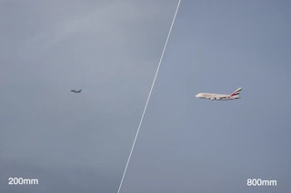 Canon RF200-800mm F6.3-9 IS USMのAF性能のレビュー