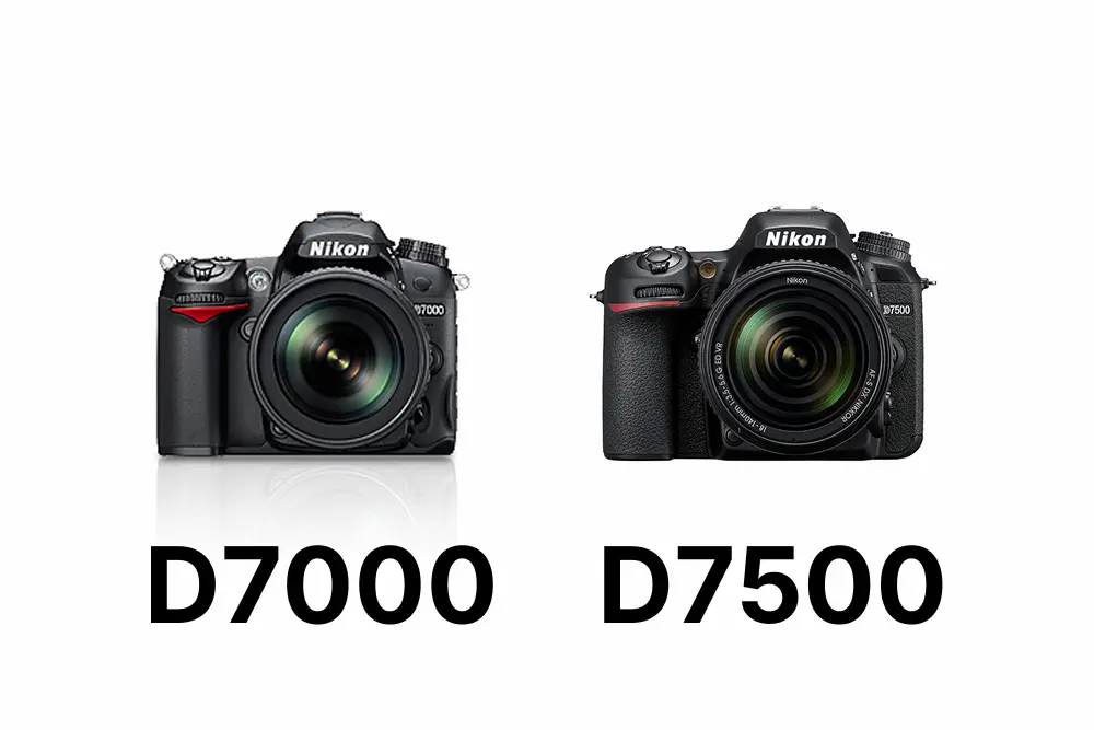 Nikon D7000とD7500を徹底比較！画質・AF・動画・操作性の違いと選び方 
