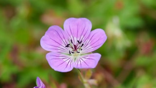シーン別の絞り設定：人物・風景・夜・接写の目安と練習
