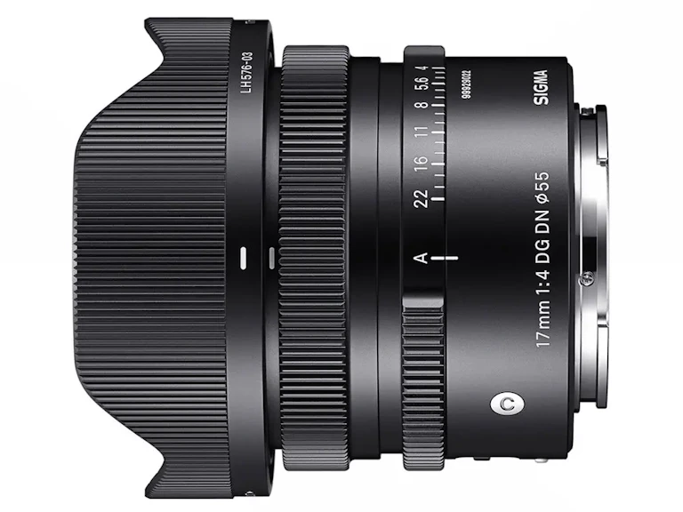 17mm F4 DG DN