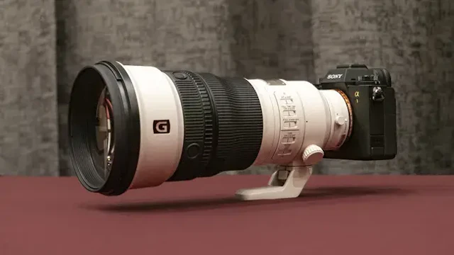 SONY FE 300mm F2.8 GM OSS SEL300F28GMのレビュー比較まとめ 軽量設計で野鳥撮影にも向く