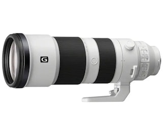 SONY FE 200-600mm F5.6-6.3 G OSSとの比較:600mmとインナーズーム